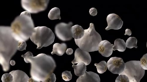 Realistic Falling Garlic Bulbs Element with Depth of Field