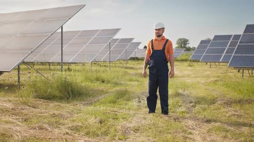 Man Stands in Field of Solar Panels