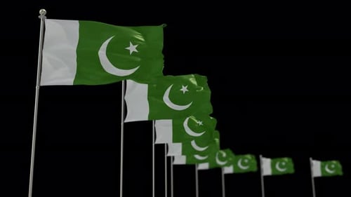 Dynamic Waving Pakistan Flags in a Row Animation