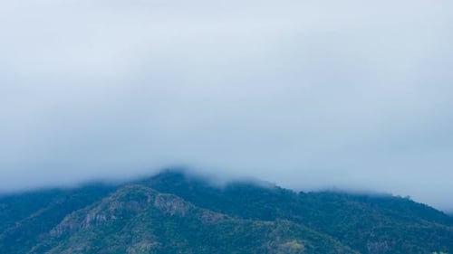 Fluffy fog cloud flowing on natural forest mountain from time lapse sunrise cloudy sky on morning