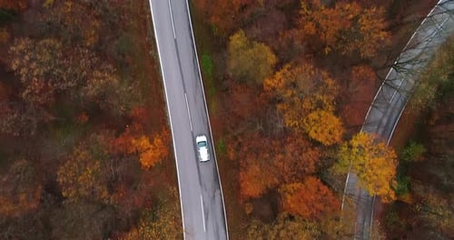 Flying Above Winding Road in Autumn Forest 4K