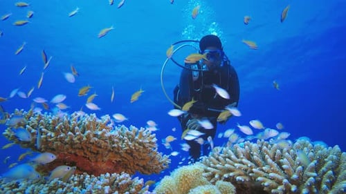 Underwater Diver