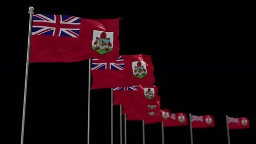 Waving Bermuda Flags Realistic Animation