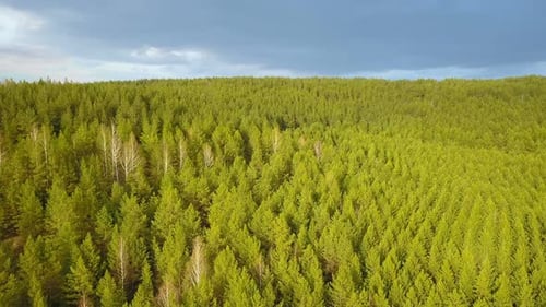 Natur