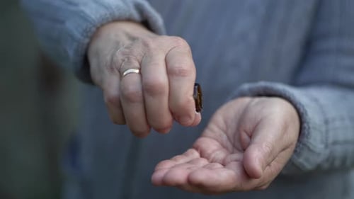 Pills in a Elderly Woman Hands