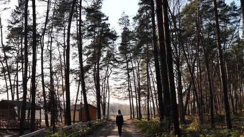 The girl is walking in the woods