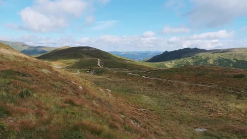Landscape View of Green Hills in the Valley of Mountains with Coniferous Forests
