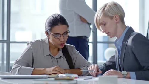 Female Colleagues Discussing Business in Office