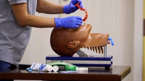 Medical Trainer inserts Airway Adjunct into Training Dummy