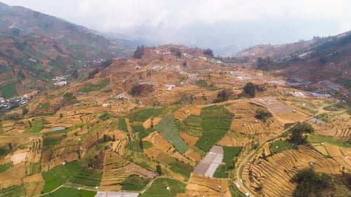Aerial View of Terraced Fields in Rural Landscape