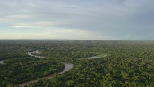 Luftaufnahme über einen tropischen Wald mit einem Fluss im Amazonas-Regenwald