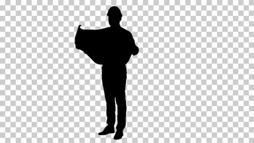 Verificación del ingeniero de siluetas, Alpha Channel