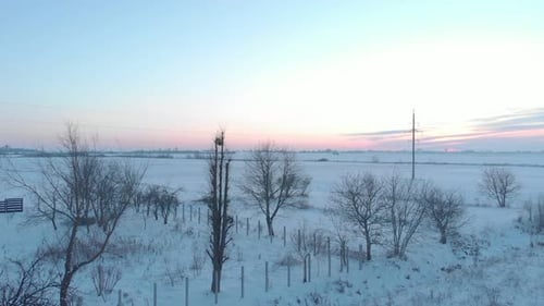 Winter Fields At Sunset