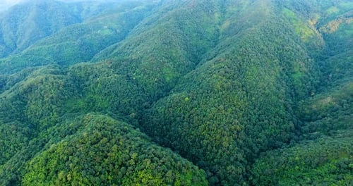 Aerial View of Mountain and Forest