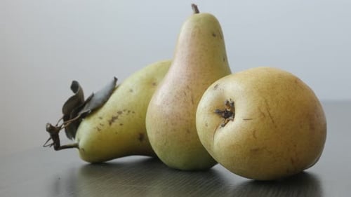 Yellow fruit from genus Pyrus slow tilt 4K 2160p UltraHD footage - Small group of tasty pears 3840X