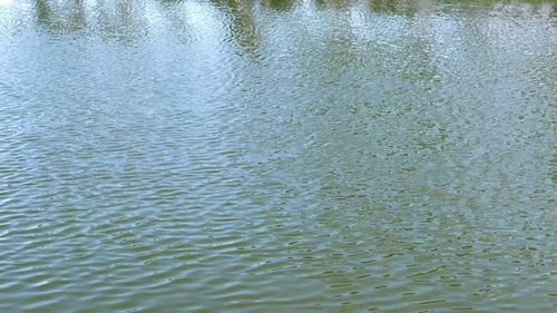 Ripping Water Surface on the Lake