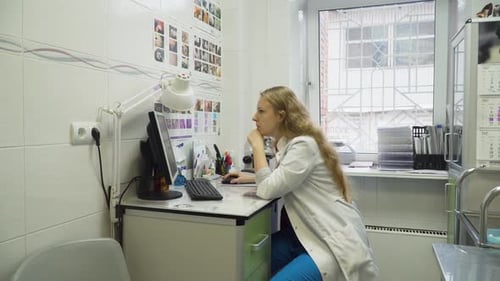Veterinary Doctor Works in Bright Clinic Office