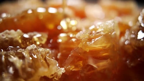 O mel fresco dourado está pingando para o favo de mel