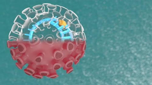Animation of the movement of a coronavirus model