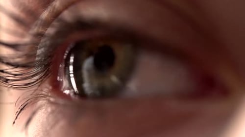 Dramatic Close Up of a Single Eye