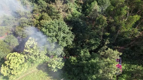 Forest Fire Aerial View