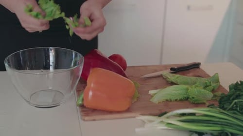 Female Hands Rending Lettuce Into Bowl for Salad