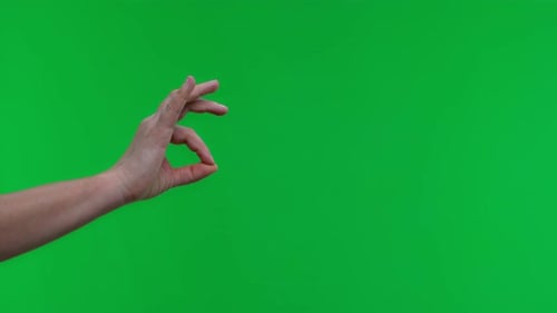 OK Gesture Signs on Chroma Key