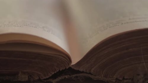 Antique Book Pages Close Up