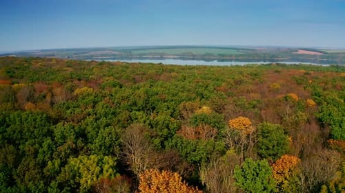 Amazing colorful foliage on river background