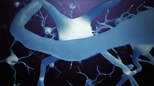 Welt der Verbindungen zwischen Schleifenneuronzellen