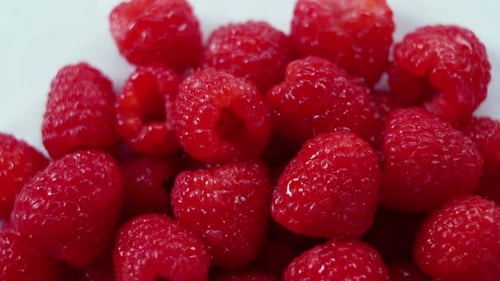 Fresh raspberries