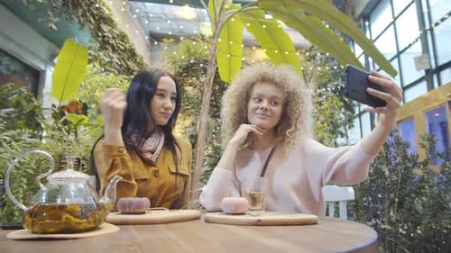 Two Female Friends Taking Selfie with Smartphone in Cafe