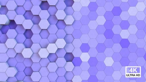 Hexagonal Background Melrose