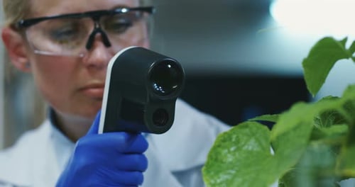 Scientist Scanning Plant with Advanced Technology in Lab