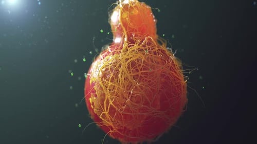 Animated Microscopic Organism Cell with Pulsing Tendrils