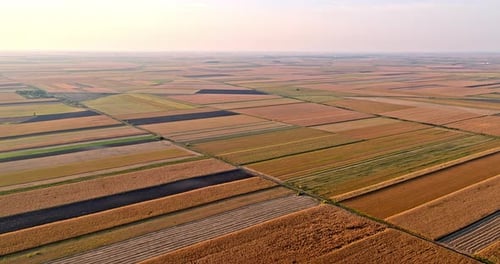 Aerial drone shot of various agricultural crop fields at farm