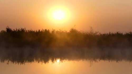 Herbstlandschaft, Schilf vor Morgennebel und der orangefarbenen Sonne, Hintergrund