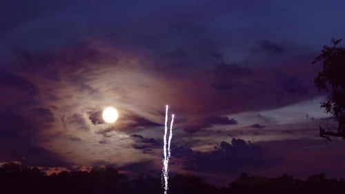 Colorido de fogos de artifício no festival natalino do show do Dia da Independência, 4 de julho,