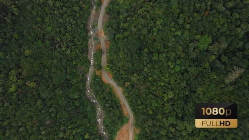 AH - Forest And Road