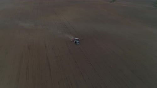 Tractor plow in a huge field. Spring, evening. 03