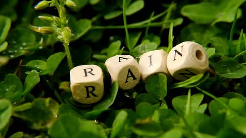 Wooden Blocks Spelling "Rain" in Green Clover