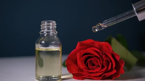 Öltropfen von aromatischen floralen Flüssigkeiten, die von der Kosmetikpipette auf die Glasflasche mit Parfüm fallen