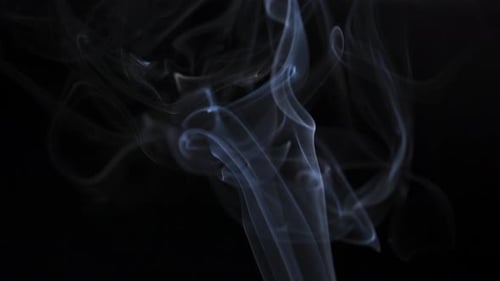 Abstract White and Blue Smoke Plumes on Black