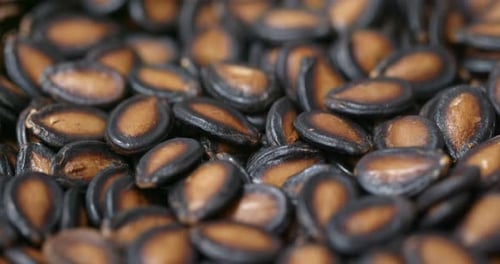 Black watermelon seed