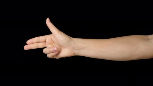 Caucasians Male Gesturing Handgun With Alpha Channel