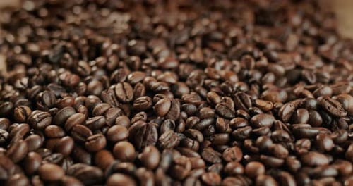 Roasted Coffee Beans Piled Close Up