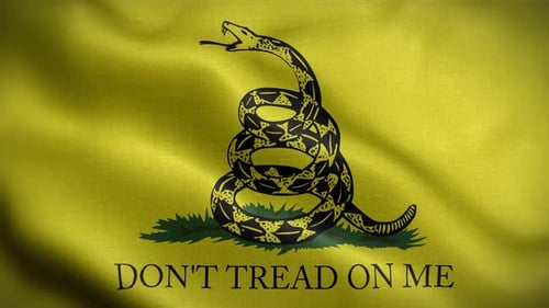 Fondo de lazo con la bandera de Gadsden USA 4K