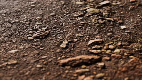 Nahaufnahme der Dirty Ground Road