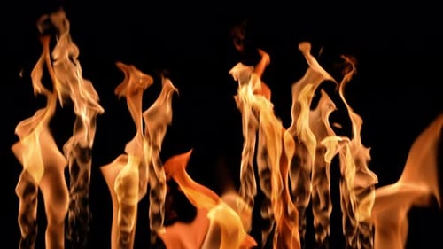 Dynamic Flames Dancing on Black Background