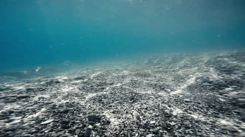 Stunning Underwater View of Ocean